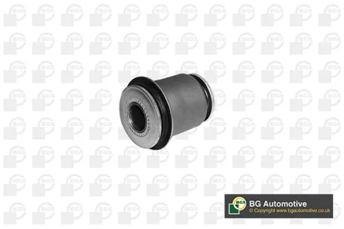 Mounting, control/trailing arm