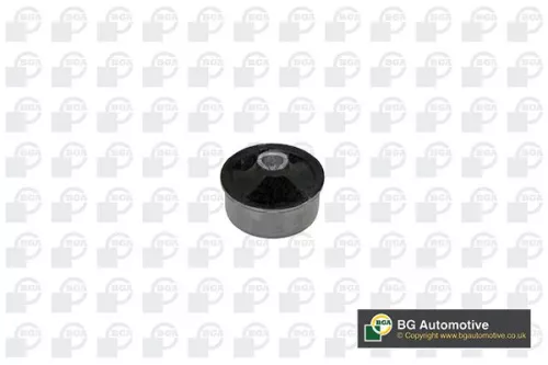 Mounting, control/trailing arm