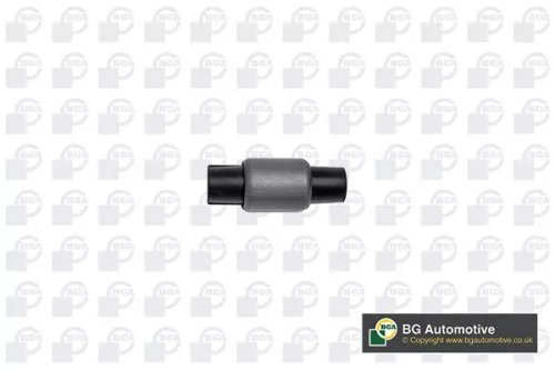 Mounting, control/trailing arm