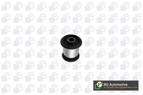 Mounting, control/trailing arm