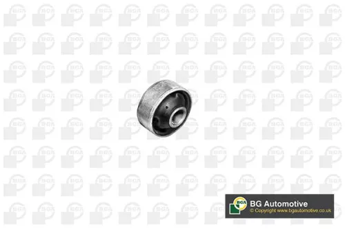 Mounting, control/trailing arm