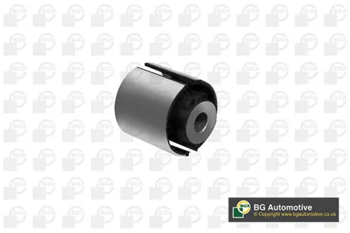 Mounting, control/trailing arm