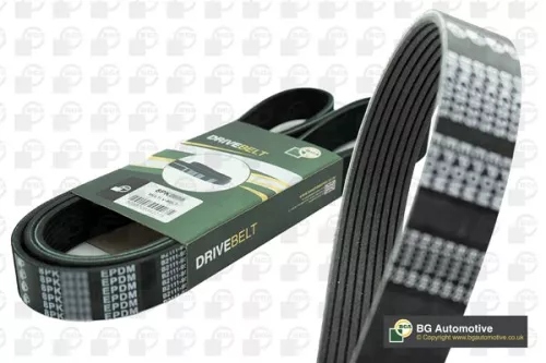BGA V-Ribbed Belt (8PK2513)