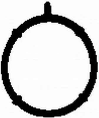 BGA Gasket, intake manifold (AG0032)