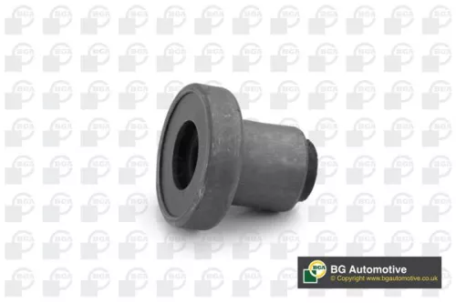 BGA BGA BU9666 Mounting, control/trailing arm 