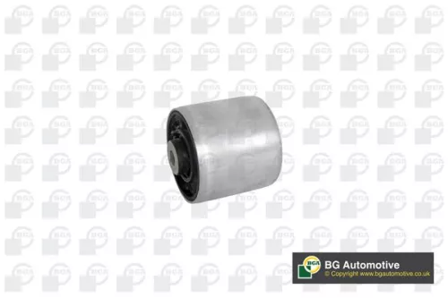 Mounting, control/trailing arm