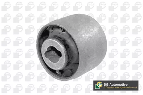 Mounting, control/trailing arm