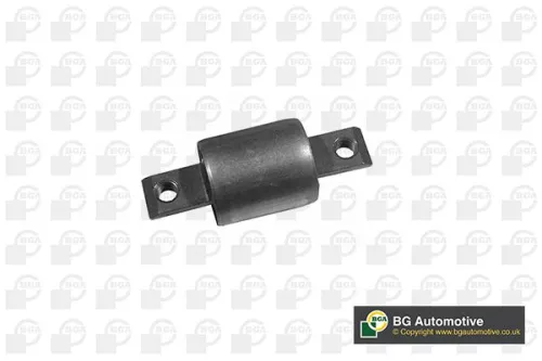 Mounting, control/trailing arm