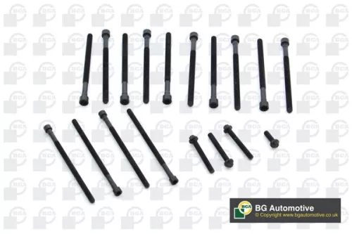 BGA BGA BK0904 Bga Cylinder Head Bolt Set For Bmw 1 2 3 4 5 6 7 X3 X4 X5 X6 