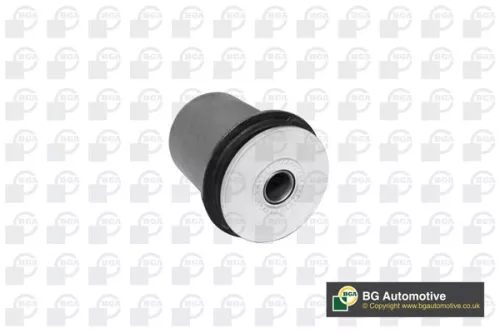Mounting, control/trailing arm