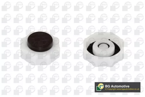 Cap, coolant tank