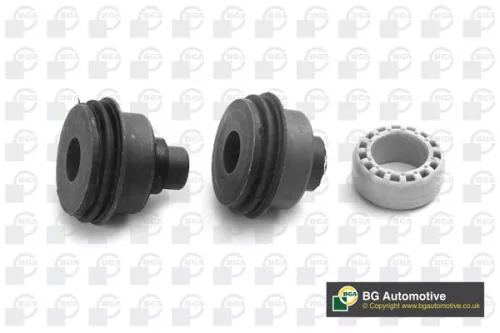 BGA BGA (BU0401) Mounting, control/trailing arm 