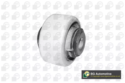 BGA BGA (BU0608) Mounting, control/trailing arm 