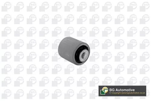 Mounting, control/trailing arm
