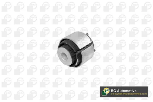 Mounting, control/trailing arm