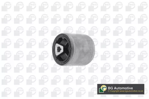 Mounting, control/trailing arm
