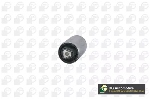 Mounting, control/trailing arm