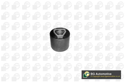 Mounting, control/trailing arm