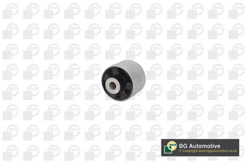 Mounting, control/trailing arm
