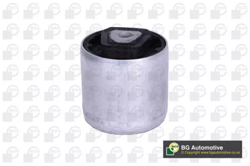Mounting, control/trailing arm