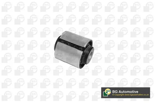Mounting, control/trailing arm
