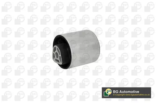 Mounting, control/trailing arm