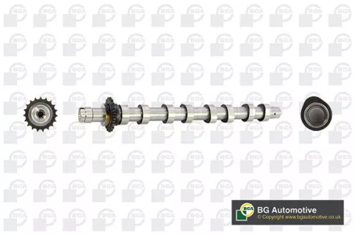 BGA BGA CS5531 Camshaft 