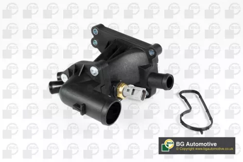 Thermostat, coolant