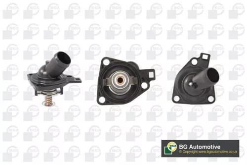 Thermostat, coolant