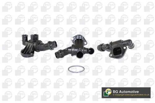 Thermostat, coolant