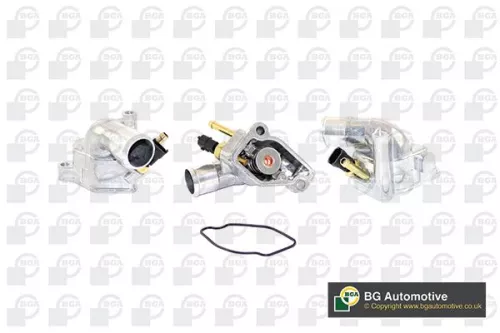 Thermostat, coolant