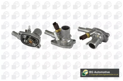 Thermostat, coolant