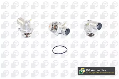 Thermostat, coolant
