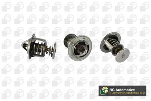 Thermostat, coolant