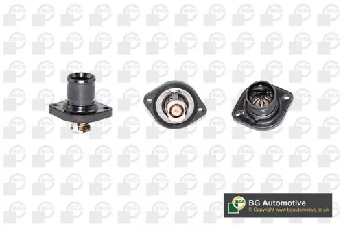 Thermostat, coolant