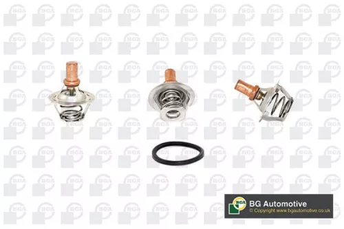 Thermostat, coolant