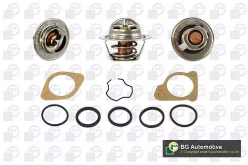 Thermostat, coolant