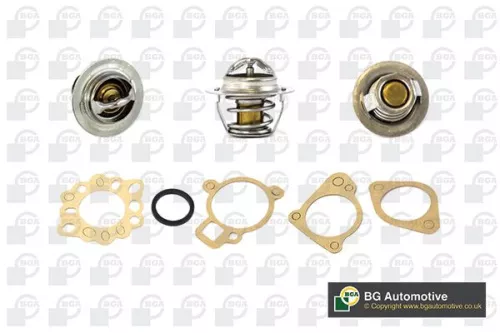 Thermostat, coolant