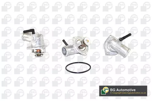 Thermostat, coolant