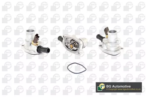 Thermostat, coolant