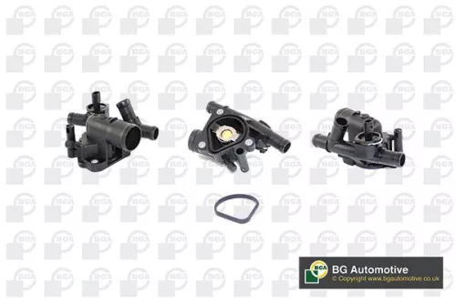 Thermostat, coolant