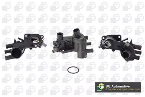 Thermostat, coolant