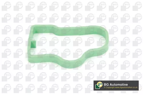 BGA Gasket, intake manifold (MG0196)