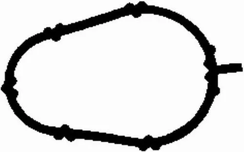 BGA Gasket, intake manifold (MG0507)