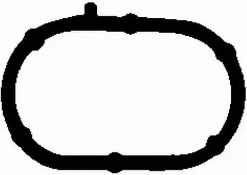 BGA Gasket, intake manifold (MG2534)