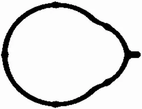 BGA Gasket, intake manifold (MG2581)