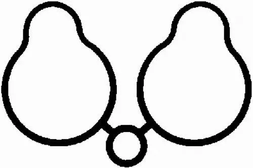 Gasket, intake manifold