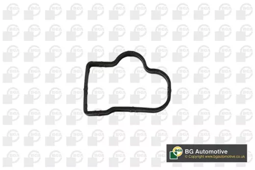 BGA Gasket, intake manifold (MG5710)