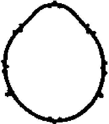 BGA Gasket, intake manifold (MG7592)