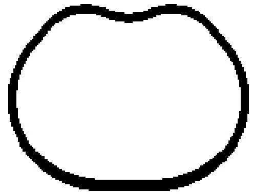 BGA BGA MG8528 Gasket, intake manifold 